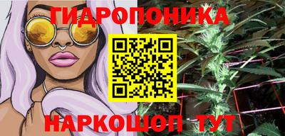 твердый Новокубанск