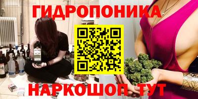 2c-b Новозыбков