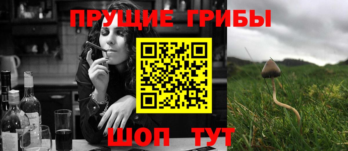 Ставрополь  магазин продажи   Вход с VPN  Псилоцибиновые грибы ЛСД 