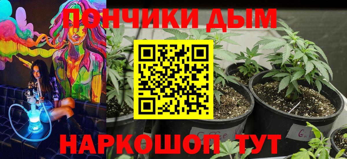 Бошки Шишки OG Kush  Каннабис White Widow  Ставрополь  Вход с VPN  Конопля LSD WEED 